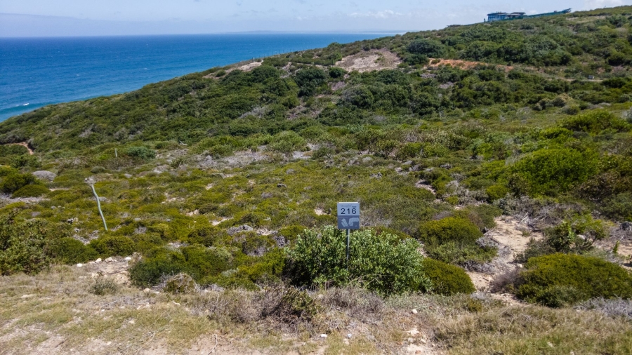 0 Bedroom Property for Sale in Dana Bay Western Cape